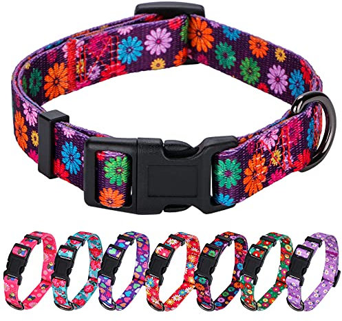 Rhea Rose Girl Hundehalsbänder Herbst Gänseblümchen Muster, Bunte Blumen drucken, weibliche Halsband, dunkel lila, klein