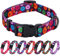 Rhea Rose Girl Hundehalsbänder Herbst Gänseblümchen Muster, Bunte Blumen drucken, weibliche Halsband, dunkel lila, klein