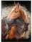 MyPuzzle Zwei Pferde umschlungen - Premium 1000 Teile Puzzle - MyPuzzle Sonderkollektion von Puzzle Galaxy