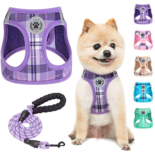 BEAUTYZOO Hundegeschirr und Leine, weiches Netzgewebe, reflektierend, für extra kleine mittelgroße Welpen und Katzen, kariert, für XS / S, Violett