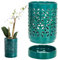 Macetas de orquídeas con agujeros, macetas de orquídeas con agujeros de orquídea de 4 pulgadas, macetas transpirables para la maceta de cerámica de cerámica con platillo para orquídeas promueve el