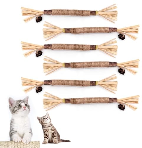 ANMOYIXIA Lot de 6 bâtonnets d'herbe à chat - Bâtons à mâcher pour chat - Pour le soin des dents et contre la mauvaise haleine - Naturel et sûr - Bâtonnets à mâcher pour chat - Jouet à mâcher pour