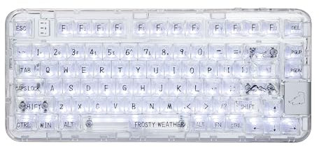 CoolKiller CK75 Transparente Mechanische Tastatur, Wiederaufladbare Kabellose Gaming-Tastatur Mit RGB-Hintergrundbeleuchtung, Hot-Swap-Fähig, Für Windows/Mac, 75 % Design (Ice Blade Lineare Switches)