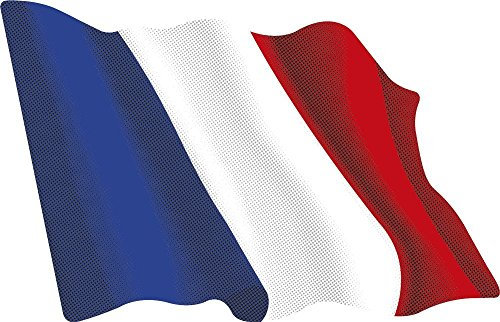 Artimagen Pegatina Bandera Ondeante Francia 80x60 mm.