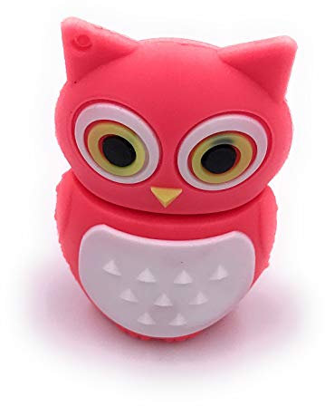 H-Customs Eule Vogel Pink USB Stick 128 GB USB 3.0