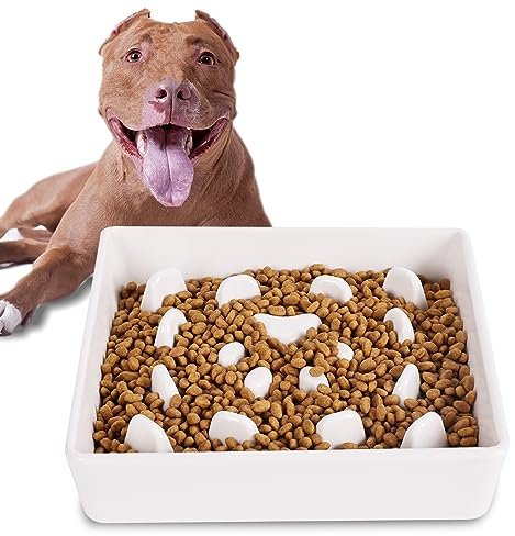 Square Slow Feeder Dog Bowls, Ceramic Fun Slow Eater Bowl for Small Medium Breed (White)