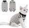 CITÉTOILE Katzenbody nach Op, Postoperative Katzenkleidung für Bauchwunden, Erholungsanzug Kleidung nach Der Operation Tragen, E-Halsband Alternative für Katzen Hunde, Schwarz, M