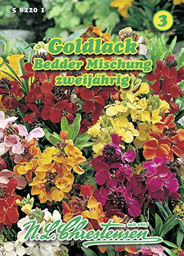 N.L. Chrestensen 582201 Goldlack Bedder Mischung (Goldlacksamen)