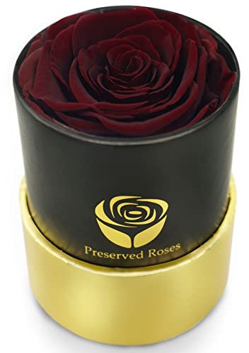 Yamonic echte Rosen in Einer Box, Rosenbox-Geschenke für sie, handgemachte Rosen, die 2 bis 3 Jahre halten, Geburtstags Valentinstag Jubiläum Geschenke für Frauen (schwarz Box Weinrot Rosen)