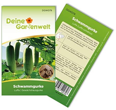 Schwammgurke Luffa Samen - Luffa cylindrica - Gurkesamen - Gemüsesamen - Saatgut für 6 Pflanzen