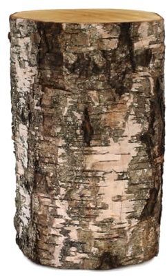 Baumstamm Stammholz als Vintage Holzblock - Birke Holzstamm zum Hinstellen in 20 x 30 cm für Deko und Basteln - Natürlicher Baumstumpf für innen als Hocker, Blumenständer oder Hackblock