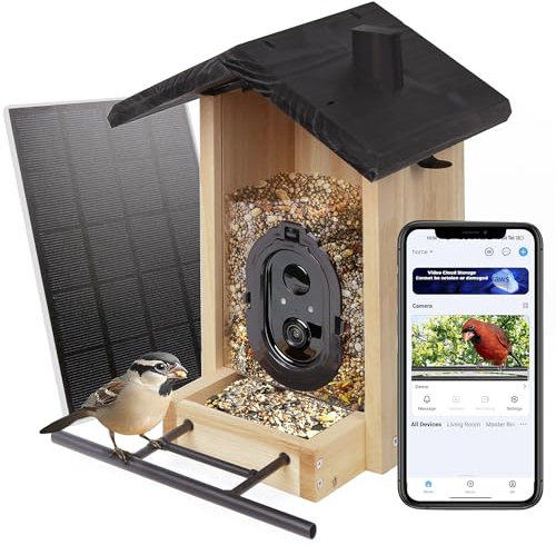 Origem Vogelhaus mit Kamera, 3L Vogelfutterhaus mit 30-Tage Aufbewahrung Videobotschaft, Solarbetrieb Bambus Vogelfutterstation für automatische Videoaufzeichnung bei Vogelbesuch