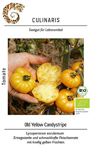 Culinaris 090 Fleischtomate Old Yellow Candystripe (Bio-Fleischtomatensamen)
