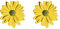 Holibanna Daisy Ohrringe Bolzen Tiny Ohrstecker Blumen Raupen Ohrring Pflanzen Ohr Schmuck Geschenke Für Frau Weibliche