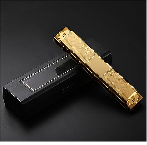 Harmonicas for Students Gold-plated Cover Plate Brass Reed Harmonica 21 Hole Polyphonic Harmonica Musical Instrument (Color : A key)