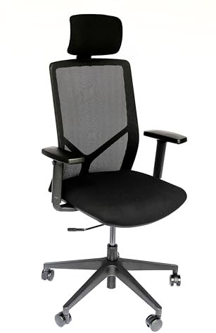 Werkling Bürostuhl, Ergonomischer Schreibtischstuhl mit höhenverstellbarer Kopfstütze, höhenverstellbaren Armlehnen, Synchronmechanik und Netzrücken, Drehstuhl, Computerstuhl