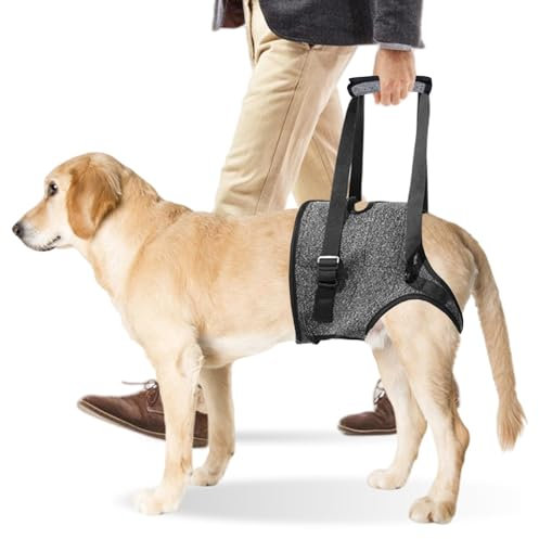 Tragehilfe Hund Hundehebegeschirr Tragegeschirr Hundeschlinge: Hundestützgeschirr Für Die Hinterbeine Mit Handgriff, Verstellbare Gehhilfe Für Verletzte Behinderte Kleine Mittlere Große Hunde (S)