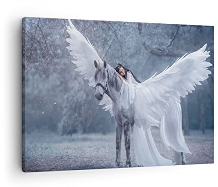 Bilder auf Leinwand Frau Pferd Natur Leinwandbild mit Rahmen 70x50cm Wandbilder Dekoration Wohnzimmer Schlafzimmer Küche Deko Klein Wanddeko Bild Wand Kunstdruck Art Wall Decor Canvas AA70x50-3998