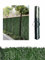 Jardin202 - Seto Artificial Premium Verde | 90% Ocultación | UV Resistente | Fácil Instalación Ideal para Jardín, Balcón, Terraza | 1 x 3 Metros (Verde)