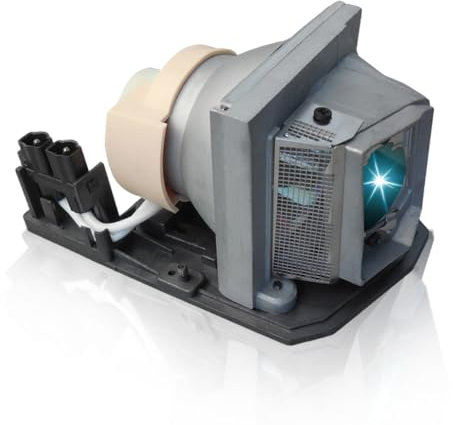 SORNEICDR Ersatz Projektorlampe kompatibel mit Acer EC.JBU00.001 X110P X1161P X1261P H110P X1161PA X1161N, Ersatzlampe mit Gehäuse