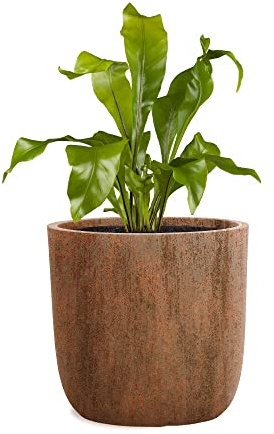 Pflanzwerk® Fioriera Vaso di Fiori Vetroresina Cup Ø27cm Ruggine Marrone Resistente al Gelo* *Protezione UV* * Beni di qualità*
