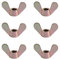 MroMax 1/4 Wing Nuts Zinc Plated Fasteners Parts Hurrican Screws Cymbals Butterfly Nut Bronze Tone 20pcs