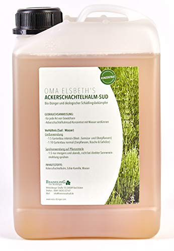 Ackerschachtelhalmsud/Ackerschachtelhalmjauche (3Liter)