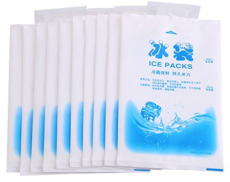 Sacchetti di Ghiaccio, 10pz 200ml Pacchetti di Ghiaccio Riutilizzabili Sacchetti di Raffreddamento in Gel Pacchetto Refrigerante Impacco Di Ghiaccio per Alimenti Vegetali Vini Medicali Industriali