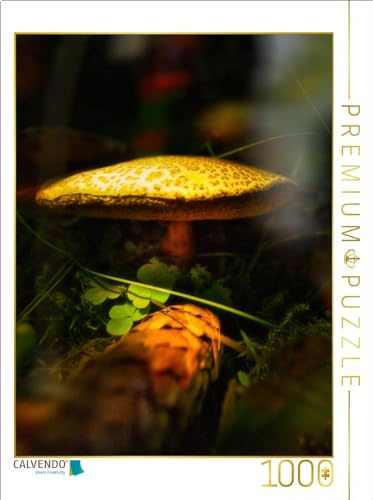 Puzzle · Das Besondere sehen | 1000 Teile · Lege-Größe 64 × 48 cm · CALVENDO Puzzle