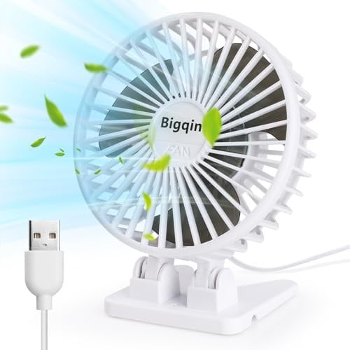 Bigqin Mini Ventilatore Portatile, Ventola Silenziosa USB, 3 velocità in un Pulsante, Piccolo Ventilatore Potente, Mini Ventilatore ad Angolo Regolabile per Tavolo da Ufficio,Bianco