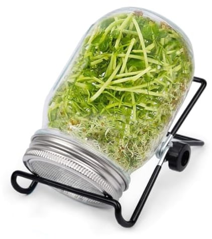 miaomiao Sprossenglas Keimglas Set, 1000ml Keimglas für Sprossen, Sprossen Anzuchtset Keimgläser für Sprossenglas, Sprouting Jar mit 1 Filtergitterabdeckungen aus Edelstahl 304 und 1 Ständer