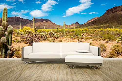 Fotomural vinilo pared Paisaje desierto | Varias Medidas 150x100cm | Ideal para la decoración de comedores, salones | Motivos Paisajisticos | Urbes, Naturaleza, Arte | Multicolor | Diseño Elegante