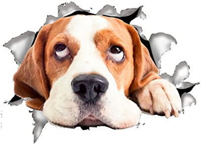 DRESSOOS Tiertoilette Hund Aufkleber Toilettensitze Aufkleber Katze WC Badezimmer Toilettendeckel Lustig Toilettenschild Toilettenschüssel Sitz Toilettensitz 3D Notebook