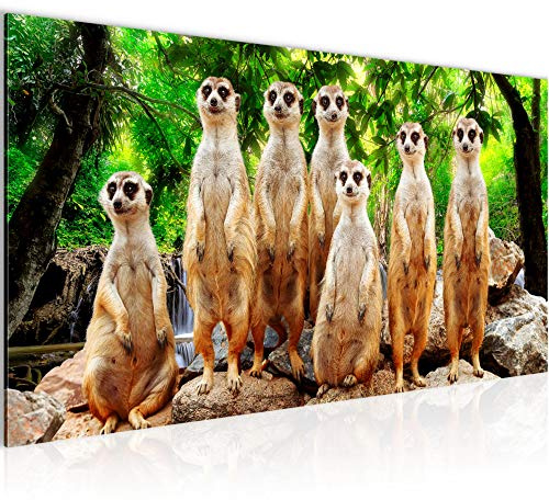 Runa Art Wandbild Afrika Erdmännchen 1 Teilig 100 x 40 cm Modern Bild auf Vlies Leinwand Natur Wasserfall Wohnzimmer Schlafzimmer Bunt 005512c