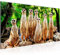 Runa Art Wandbild Afrika Erdmännchen 1 Teilig 100 x 40 cm Modern Bild auf Vlies Leinwand Natur Wasserfall Wohnzimmer Schlafzimmer Bunt 005512c