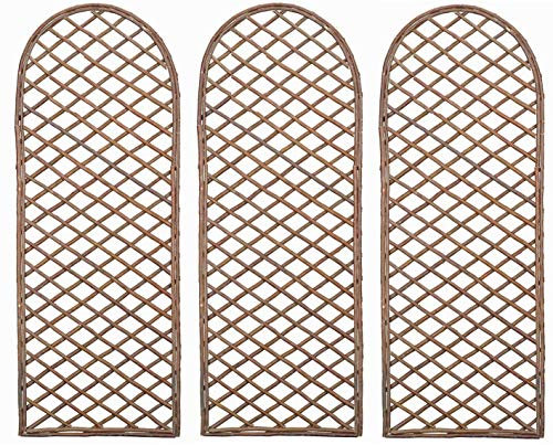 Selections Pack of 3 Willow Trellis Framed Panel with Curved Top (120 x 45 Centimetre)