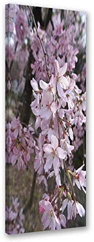 Leinwandbild XXL Kirschblüten Wandbild Kunst Natur Rosa 50x150 cm