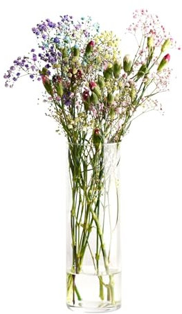 KROSNO Zylinder Blumenvase | 30 cm |Perfekt für Zuhause und Restaurants | Spülmaschinenfest | Crystalline Glas | Bleifreies
