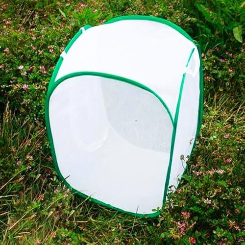 TSLBW Insecte Papillon Habitat Papillon Jardin Kit Grand Papillon Habitat Cage Pliable Pop-up Insecte Monarque Papillon Net Papillon Maison pour Enfants, 40 * 40 * 60cm