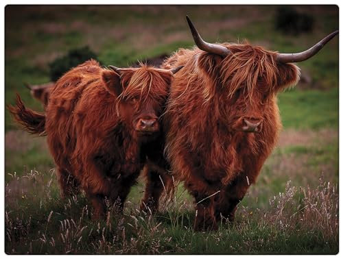 Rural Roots Highland Cows Worktop Saver