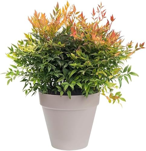 Garden Store Direct Urban Jungle Round Plant Pots - Indoor or Outdoor Use - 5 Sizes, 4 Colours - Made With Recycled Materials (Warm Grey, 38 cm)