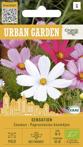 Organic Way | Schmuckkörbchen - SENSATION samen | Cosmos bipinnatus | Einjährige Sommerblumen | Pflegeleicht & langblühend | Für Beete, Rabatten & Gartenflächen | Blumensamen | 1 Pack