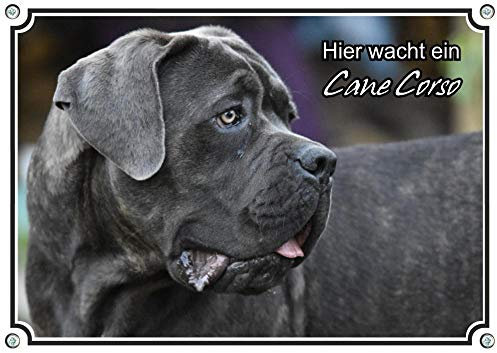 Petsigns Hundeschild Cane Corso - wunderschönes Warnschild - uv-beständig - Italien. Dogge, DIN A3