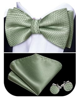 Barry.Wang Sage Green Bow Ties for Men Paisley Silk Pre-Tied Bowtie Set
