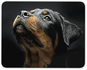 Beautiful Rottweiler Mouse Mat Pad - Dog Puppy Rottie Fun Gift Computer #8616