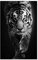 Jwqing Schwarz Und Weiß Tier Tiger kunstdrucke Wandkunst Bilder Leinwand Malerei Abstrakte Leinwand Poster Malerei Wohnkultur (60x80 cm kein Rahmen)