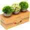 Kitzini Artificial Plants. Realistic Foliage. 3 Fake Plants Indoor. Gift Boxed. Premium Potted Fake Plants for Home Decor. Easy Styling. Everlasting House Plants