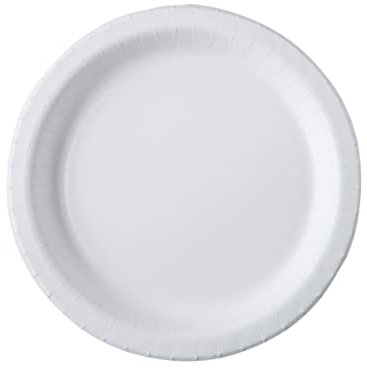ISAP France 20 Assiettes en carton blanc 26 cm