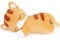 Auspicious beginning 13,77 Zoll Katze Plüschtier Kawaii Katze Kuscheltier Katze Stofftier Katze Plüsch Spielzeug Weiches Kuscheltiere Kopfkissen Gefüllte Katze Puppe Tier Kissen für Freundin
