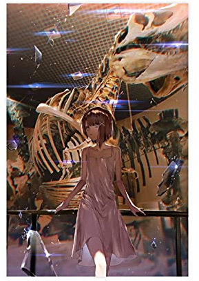 Anime Serial Experiments Lain 18 Leinwand-Poster, Wandkunst, Deko, Bild, Gemälde für Wohnzimmer, Schlafzimmer, Dekoration, ungerahmt: 30 x 45 cm